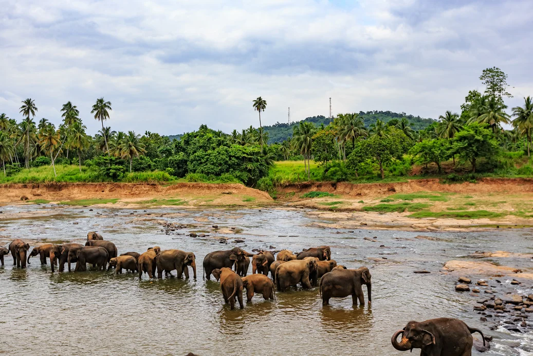 Sri Lanka - photo 2
